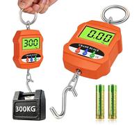 Balance Suspendue Électronique avec Capteur Précis LCD, Balance Suspendue Portable Numérique 300 KG, Balance À Grue Crochet Électronique, Pèse Bagage, pour Cuisine, Voyage, Pêche, Chasse Outdoor