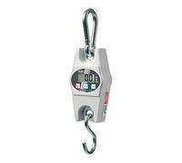 Kern & Sohn Balance suspendue HCB 50K100 – 50 kg, lisibilité 100 g, à pile(s)
