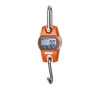 Balance suspendue - numérique - 300 kg/0,1 kg - avec écran LCD | Steinberg Systems