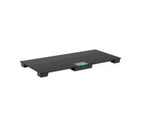 Balance vétérinaire - 150 kg / 0,05 kg - 84 x 40,5 cm - avec tapis antidérapant et écran LCD externe | Steinberg Systems