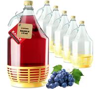 KADAX Lot de 6 bonbonnes en Verre 5L - Ballons de Fermentation pour vin, bière & cidre
