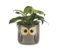 Balvi Pot de Fleurs Owl Couleur Gris Pot Original en Forme de Hibou Céramique 11,7x13,5x135 cm