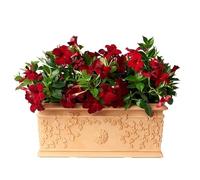 Bama 35399 Pot de Fleurs Terre Cuite 100 cm