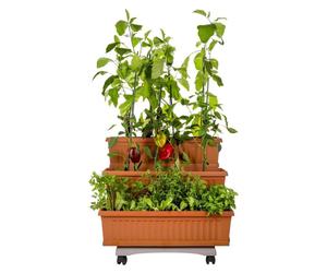 Bama Orto Di Kit Plantenbakken 80x74x73 cm Terracotta