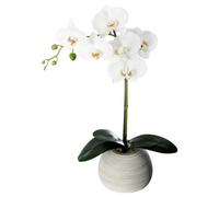 Orchidée artificielle pot ciment H53cm - Atmosphera Créateur d'intérieur