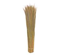 bambus-discount.com De Fougères, Naturel, Hauteur 100 cm, diamètre env. 10 à 15 cm
