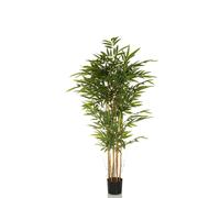 BAMBUS II - Plante artificielle Vert