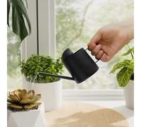 Bamworld Petit arrosoir en Acier Inoxydable pour Plantes d'intérieur et d'extérieur - Long Bec verseur - 283,5 g - Jolie décoration pour bonsaï (Noir)