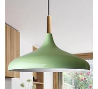 bamyum Champion Lampe à Bois Suspension Moderne en Metal de 35 cm, Lustre de Salon, Chambre, Cuisine, Suspension Luminaire Plafonnier, Éclairage de Plafond, Lampe Suspendue Menthe Verte