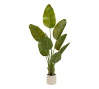 Bananier Artificiel 3 Troncs Lora 140cm Vert