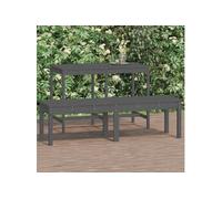 vidaXL Banc de jardin 2 places Gris 159,5x44x45 cm Pin massif
