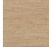 Bande de chant ABS H3170 ST12 Chêne Kendal Naturel - Ep.0,8 mm / l.23 mm / L.75 m - Non encollée