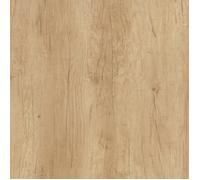 Bande de chant ABS H3331 ST10 Chêne Nebraska Naturel - Ep.0,8 mm / l.23 mm / L.75 m - Non encollée