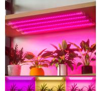 Bande lumineuse de croissance des plantes LED spectre complet avec minuterie et variateur USB 5V pour intérieur, cactus, fleurs, bonsaï, semis, plantes vertes, serre, tente, hydroponie, succulentes, m