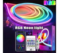 Bande lumineuse néon RGBIC 5V 10m/33ft, disponible en longueurs de 1m, 2m, 3m, 5m, alimentée par USB, bande flexible étanche, livrée avec une télécommande Bluetooth, convient pour la décoration d'inté
