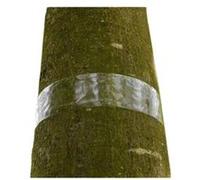 Bande transparente engluée "Glued Trap" - anti pucerons