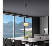 BANKAMP Grand Suspension LED à 1 source lumineuse, 2226/1-39,