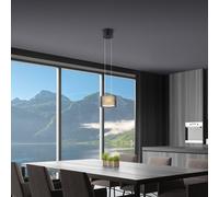 BANKAMP Grand Suspension LED à 1 source lumineuse, 2243/1-06,