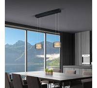 BANKAMP Grand Suspension LED à 2 sources lumineuses, 2244/2-06,