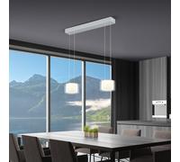 BANKAMP Grand Suspension LED à 2 sources lumineuses, 2297/2-36,