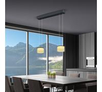 BANKAMP Grand Suspension LED à 2 sources lumineuses, 2297/2-39,