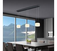 BANKAMP Grand Suspension LED à 3 sources lumineuses, 2283/3-39,