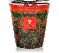 Baobab Collection Arty Flowers Poppies bougie parfumée 1000 g
