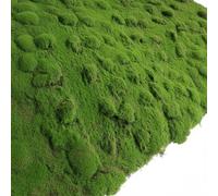 Baoblaze Panneau de Verdure Décoratif Tapis de Lichen Artificiel Feuillage Synthétique Plaque de Mousse Imitation Texture Réaliste Facile à Couper et Façonner, 1m X 1m, Style to 1