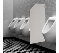 BAOCHADA Cloison d'urinoir WC 90 x 40 cm - Montage mural - Paroi de séparation en acier inoxydable - Pour homme - Gris clair/angle incliné