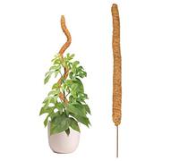 Baogao 80cm Tuteurs en Coco Monstera, Bâton Culture Extensible Naturel, Support Tuteur Plante Grimpante Intérieur pour Monstera Maison Jardin