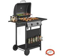 Barbecue à gaz 5 kW, 2 brûleurs, chariot en acier inoxydable avec table d'appoint, panier de rangement, cache avant, thermomètre et grille en émail