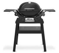 Weber Grill Barbecue à gaz Q1200N avec support