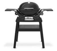 Barbecue à gaz Weber Q1200N avec support