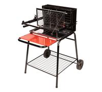 Barbecue au charbon de bois avec foyer vertical RAYMOND