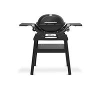 Weber Grill Barbecue à gaz Q1200N avec support