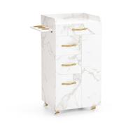 BarberPub chariot de coiffeur avec 3 tiroirs & 2 armoires, beauté salon trolley avec 3 supports sèche-cheveux, 0065 (blanc-or)