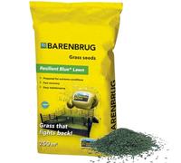 Barenbrug graszaad 5kg tot 250m² - Resilient Blue Lawn - gras dat terugvecht - Wapent je gazon tegen extreme weersomstandigheden - Snel herstel - Hoge ziektetolerantie