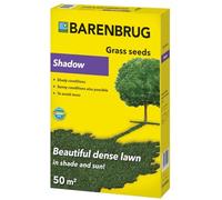 Barenbrug Semences de gazon de 1 kg à 50 m2 - Revêtement d'ombrage - Pour l'ombre et le soleil - Gazon de jeu et d'ornement puissant à l'ombre ou au soleil - Tapis de gazon dense qui empêche la mousse