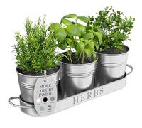 Barnyard Designs Lot de 3 Pots de Fleurs à Herbes aromatiques avec Plateau pour l'intérieur ou l'extérieur, en métal galvanisé pour la Cuisine, 11 x 10 cm sur 32 x 10 cm