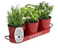 Barnyard Designs Lot de 3 Pots de Fleurs d'intérieur de Ferme avec Plateau ou boîte de Fleurs pour fenêtre d'appartement, Rebord de fenêtre, Pots de Jardin d'intérieur