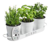 Barnyard Designs Lot de Pots à Herbes aromatiques avec Plateau pour intérieur ou extérieur, Pots décoratifs en métal Blanc pour Rebord de fenêtre de Cuisine