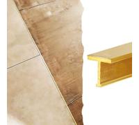 Barre de Seuil Profilé Transition Laiton Massif Brossé, Disponible 100 120 130 140 150 160cm, Joint-joint Mince Parquet Carrelage, Moulure T Encadrement Porte Mur(L100cm/40",10x16mm(0.39x0.63"))