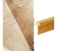 Barre de Seuil Profilé Transition Laiton Massif Brossé, Disponible 100 120 130 140 150 160cm, Joint-joint Mince Parquet Carrelage, Moulure T Encadrement Porte Mur(L100cm/40",W5xH12mm(0.2x0.47"))