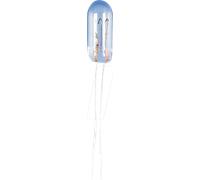 BARTH 902840 - Lampe à incandescence subminiature T1 1/4 4.1x11.5 28V.