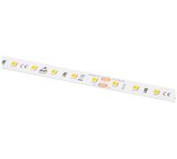 Barthelme LEDlight flex 16 10 LITE RGB, Rolle 500 cm 50415331 Ruban LED 24 V 500 cm RVB 5 m