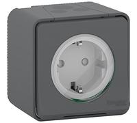 Base Schuko superficie IP55 Gris