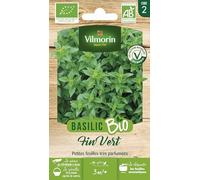Basilic Fin Vert - BIO