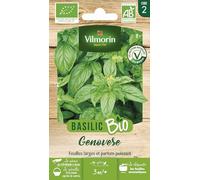 Basilic Genovese - BIO