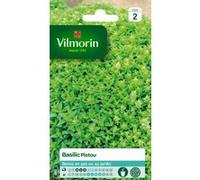 Basilic Pistou Vilmorin G