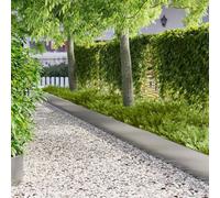Basinlix Lot de 10 bordures de pelouse - 103 x 30 cm - En acier revêtu par pulvérisation - Argenté - Pour bordure de parterre, pelouse, chemin, paillis, délimitation de terre et de gravier